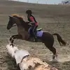Addison Oliver - @addison.horserider - TikTok