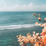 Addison - @addison.pace05 - Instagram