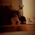 Addison Pace - @im_autistic.com.au - Instagram