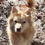 Addison Pace - @addisonpace625 - Instagram