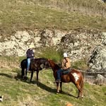 Addison Reid - @addi__equestrian - Instagram