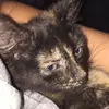 Addison Ridenour - @addi.ridenour - TikTok
