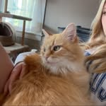 Addison Schmidt - @bongococobolo - Instagram