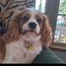 Addison Schmidt - Facebook