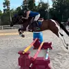 Addison Sheehan - @horselover1001 - TikTok