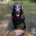 Addison - Addi for short - Facebook