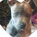Addison Simmons - Facebook