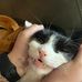 Addison Slape - Facebook