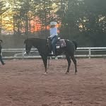 Addison smart🐎 - @addi23_572 - Instagram