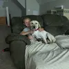 asmart29 - @addison_smart - TikTok