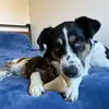 addison_snell - @addison_snell - TikTok