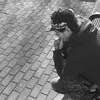 Addison Sprinkle - @addison.sprinkle - TikTok