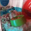 user2841758095907 - @addisonstamp - TikTok