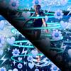 addison stephens fp!!🌸🦋🌊🥺 - @xd.addisonstephens.fp_ - TikTok