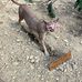 Addison Stotts - Facebook