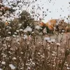 Addison Sutton - @just._addison - TikTok