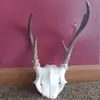 addisonsutton - @addisonsutton - TikTok