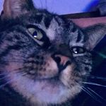 Addison Swanson - @addison_posting_pictures - Instagram