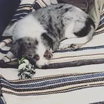 The Tischler don’t mess around find out - @addison_tischler_ - Instagram