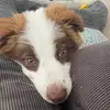 AddisonTodd - @addisontodd0 - TikTok