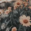 𝙰𝚍𝚍𝚒𝚜𝚘𝚗♡︎ - @addison_turner - TikTok