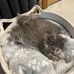 Addison Turner - Facebook