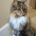 Addison - @addison_vance5289 - Instagram