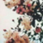 Addison Villarreal - @addisonvillarreal35 - Instagram