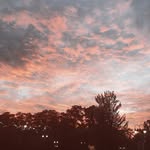 Addison Wallace - @addys_arts - Instagram