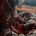 Addyson Wallace - Facebook