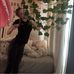 Addison Walters - Facebook
