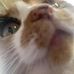 Addison Walters - Facebook