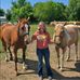 Addison Wangen - Facebook