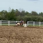 Addison Webb - @addisonwebb4 - Instagram