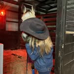 Addison Webster - @addisonwebster444 - Instagram