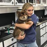 @_addison_wells._ - Instagram
