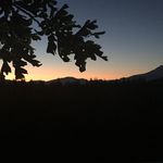 Addison Whipple - @addi_whip - Instagram