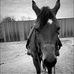 Addison Weimer - Facebook