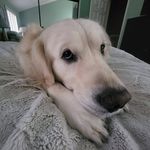 Addison Dean Wightman Jr. - @wightmanjr.addison - Instagram