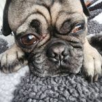 Addison Wightman - @wightmanaddison - Instagram