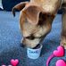 Addison Wise - Facebook
