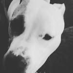 addison wiseman - @addison_wiseman - Instagram
