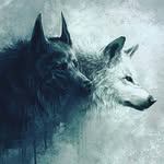 AddisonRenee Wolff - @addison_renee_wolff - Instagram