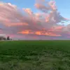 addisonyates5 - @addi7496 - TikTok