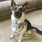 Addisonyates - @addisonyates08 - Instagram