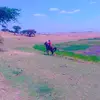 adisu shiwaa kabaa  salallee - @addisu.sime - TikTok