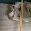 addyade96 - @addyade96 - TikTok