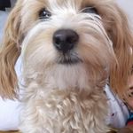 Addy Castillo Andrade - @addycastilloandrade - Instagram