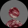 addybear - @addybear36 - TikTok