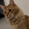 AddyBear - @addybear0943 - TikTok